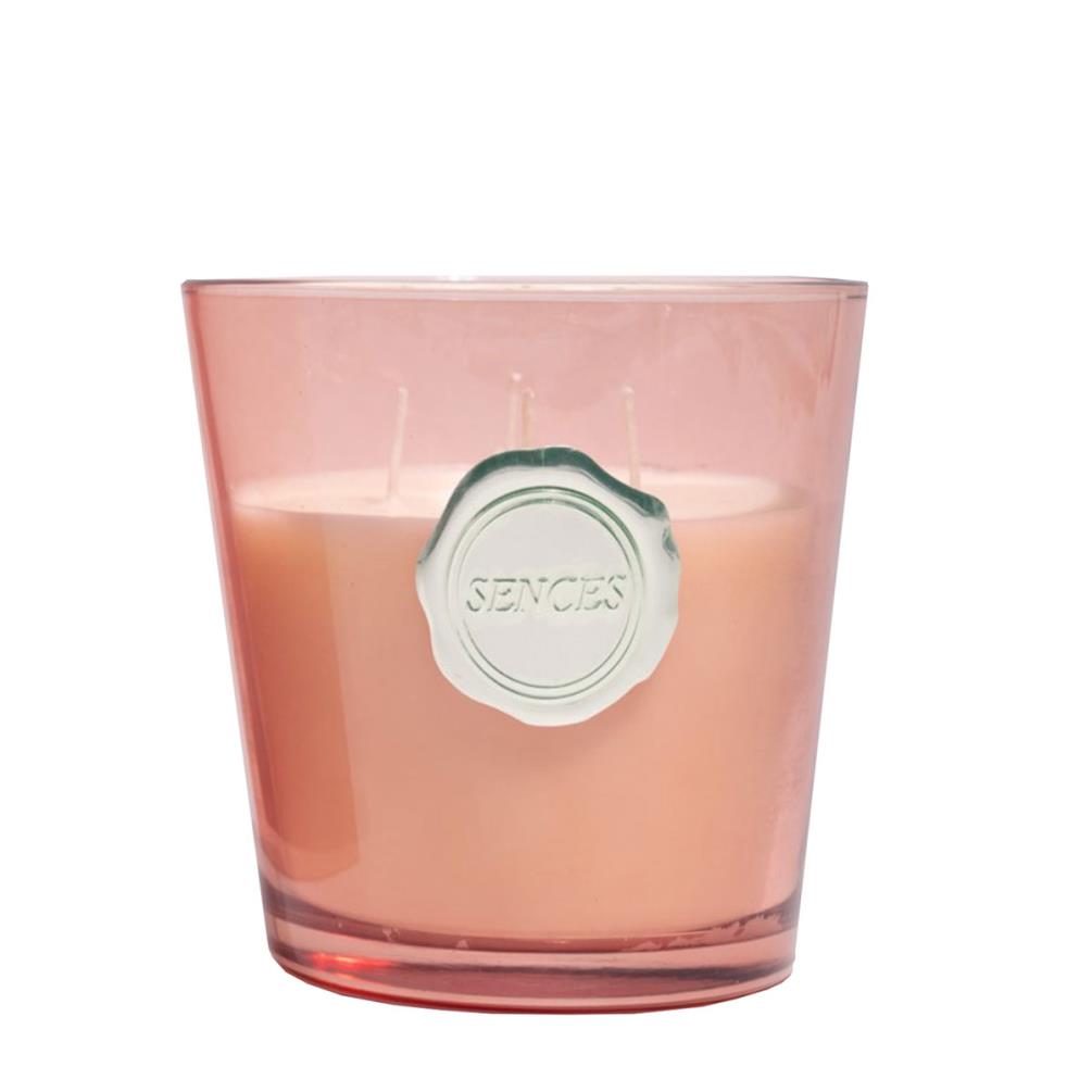 Sences Grapefruit & Vetiver Boxed Luxury Candle £13.94